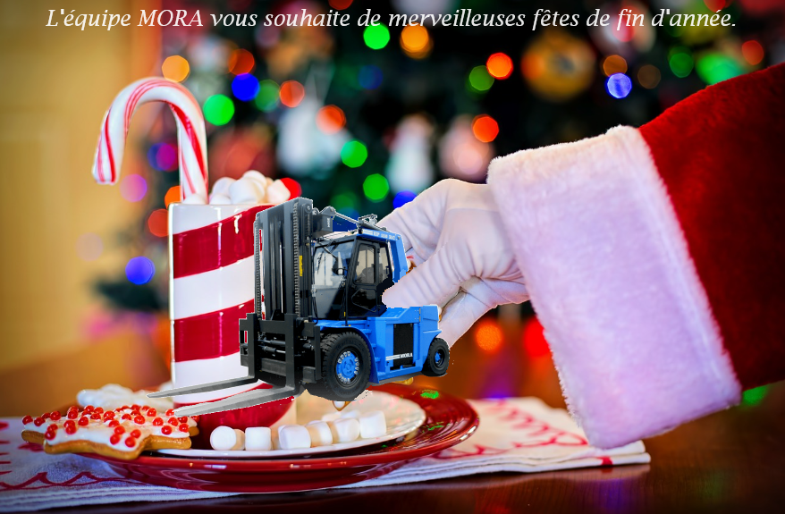 Fêtes de fin d'année 2023 MORA France